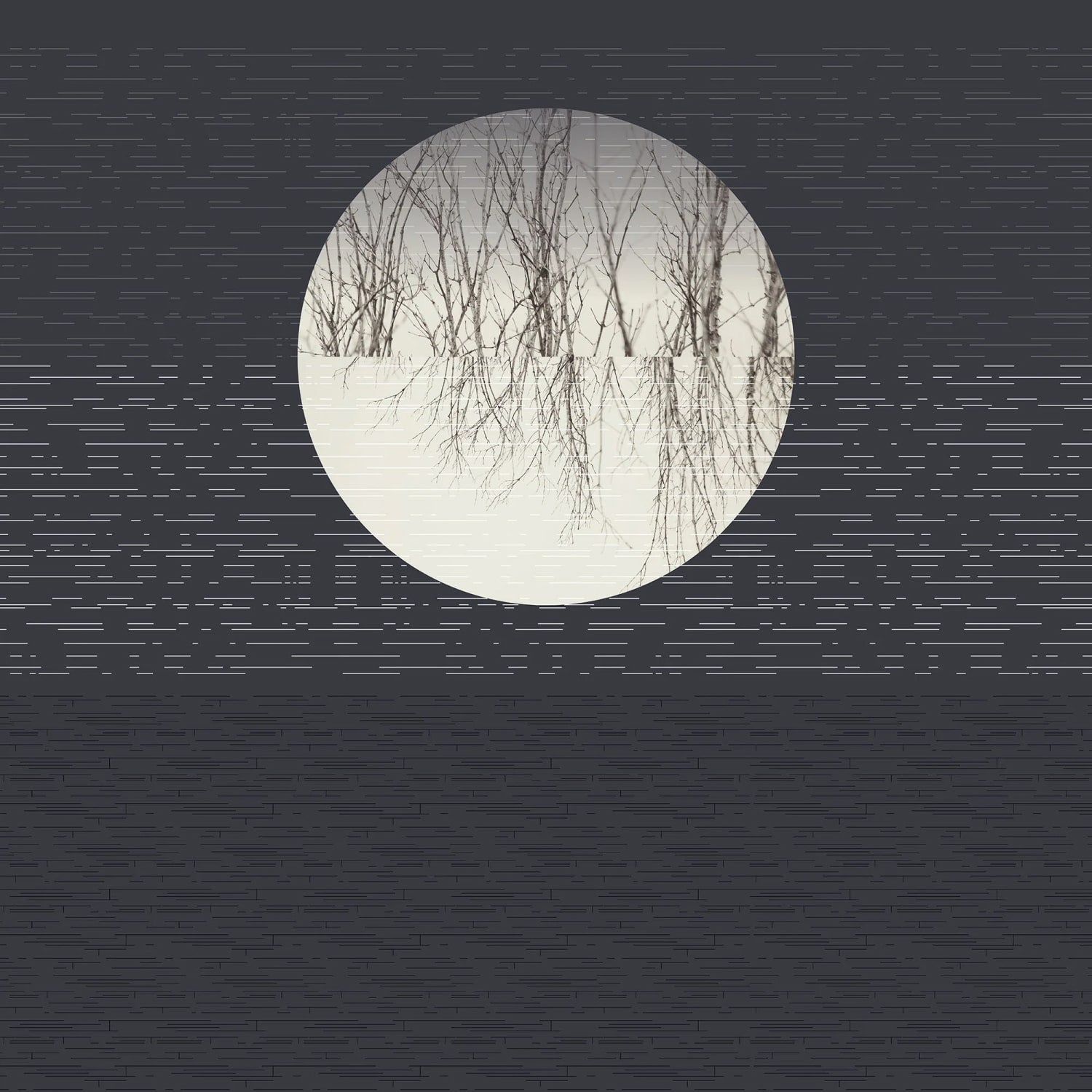 Obrazová tapeta Moonlight